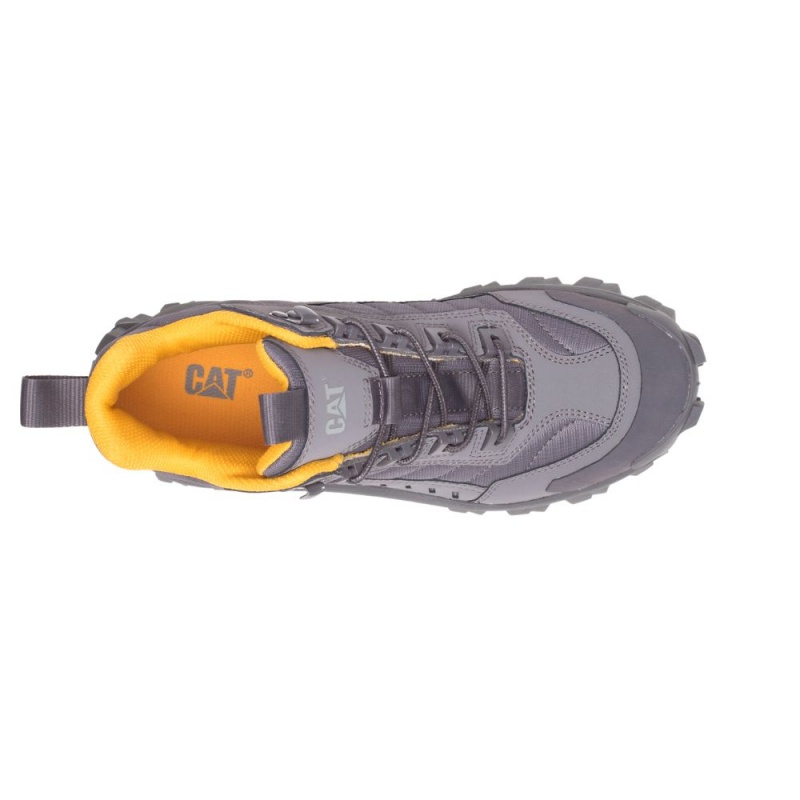 Caterpillar Intruder Mid Sneakers Heren Paars | CAT349-NL