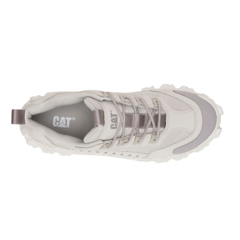 Caterpillar Intruder Sneakers Heren Beige | CAT338-NL