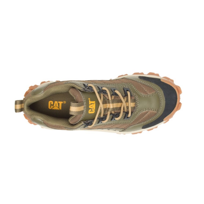 Caterpillar Intruder™ Sneakers Heren Olijfgroen | CAT337-NL