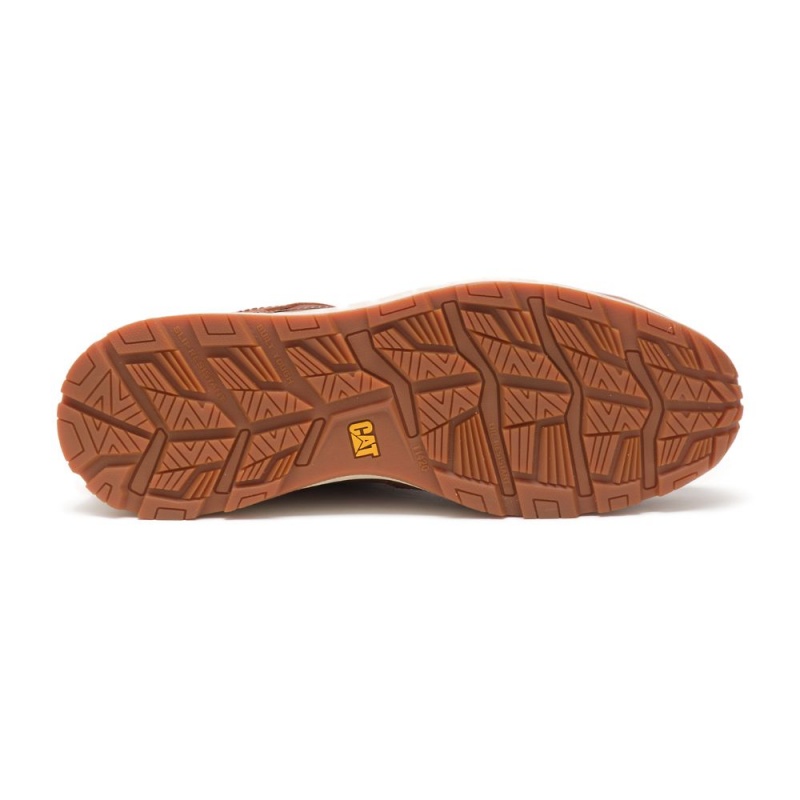 Caterpillar Woodward SD Steel Neus Wandelschoenen Heren Bruin | CAT373-NL